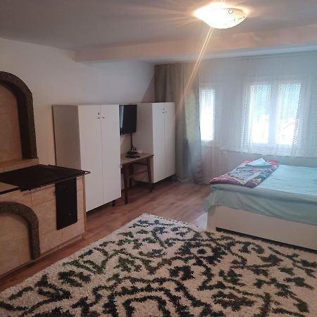 Casa Bucovina Dorna Candrenilor Ascutitele Extérieur photo