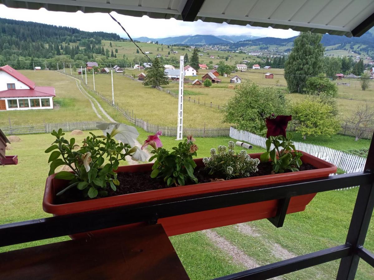 Casa Bucovina Dorna Candrenilor Ascutitele Extérieur photo