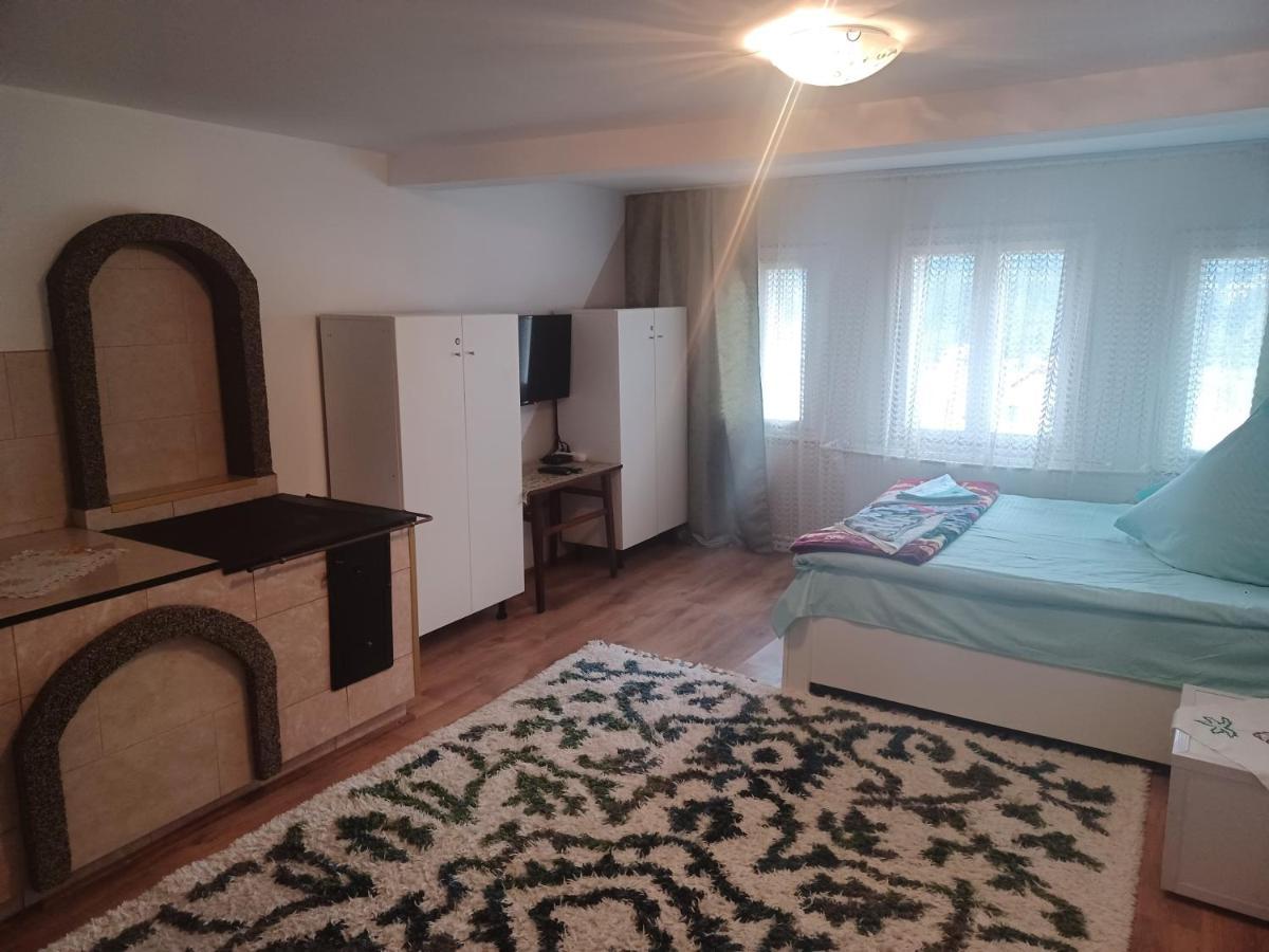 Casa Bucovina Dorna Candrenilor Ascutitele Extérieur photo