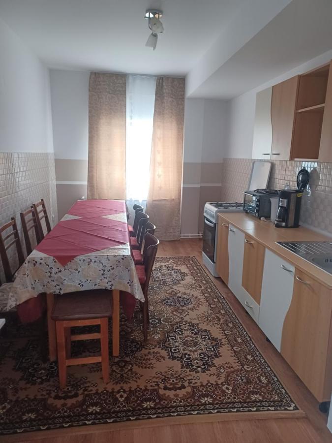 Casa Bucovina Dorna Candrenilor Ascutitele Extérieur photo