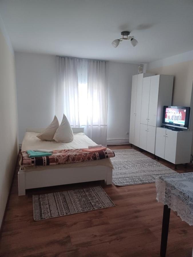 Casa Bucovina Dorna Candrenilor Ascutitele Extérieur photo